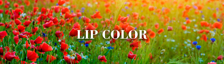 Lip Color